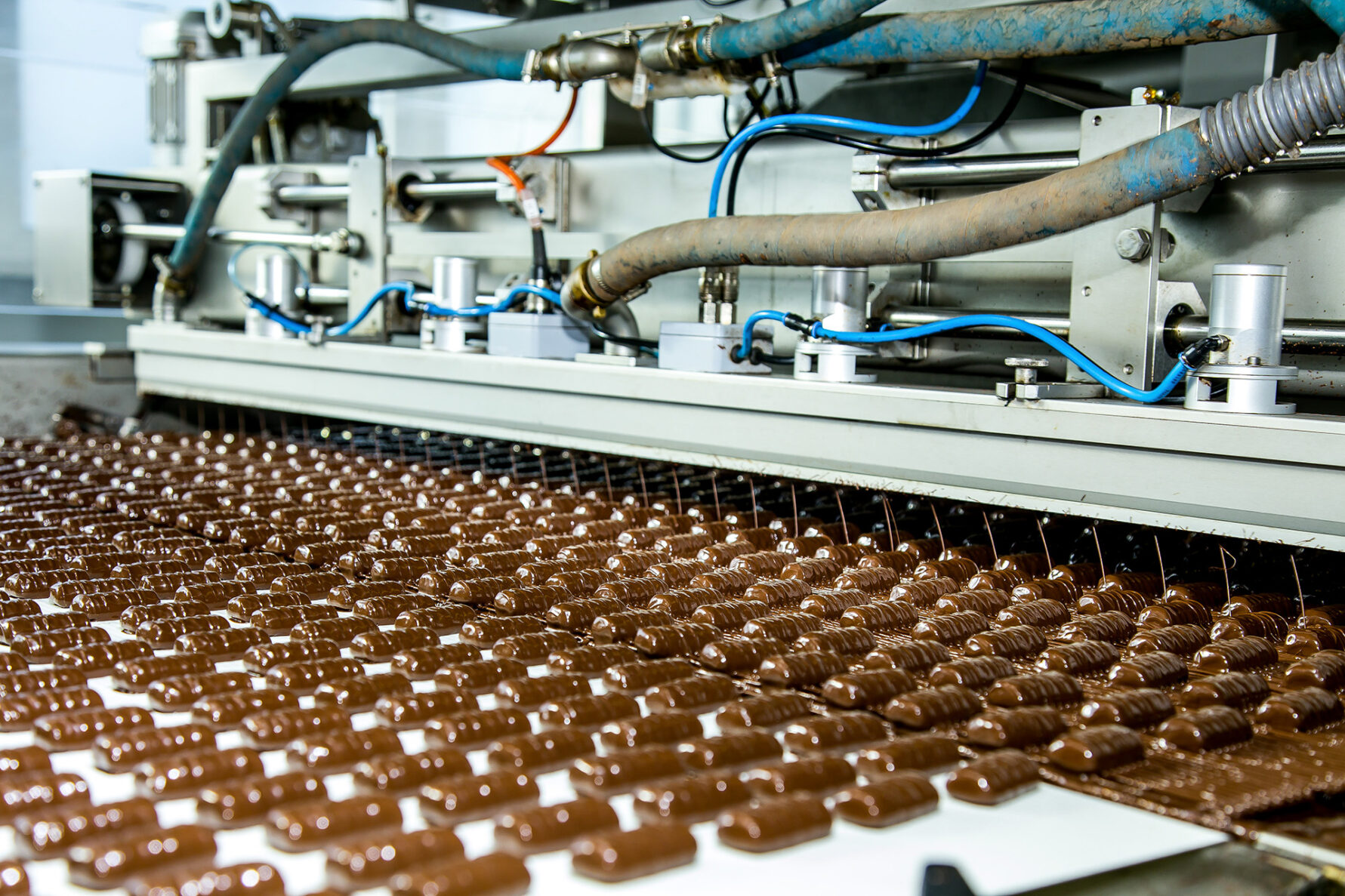 Sweets factory. Sweets production process. Conveyor belt with sweets on it.